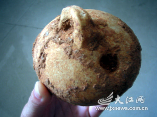 江西发现同穴连体墓 出土十余件精美瓷器(图)